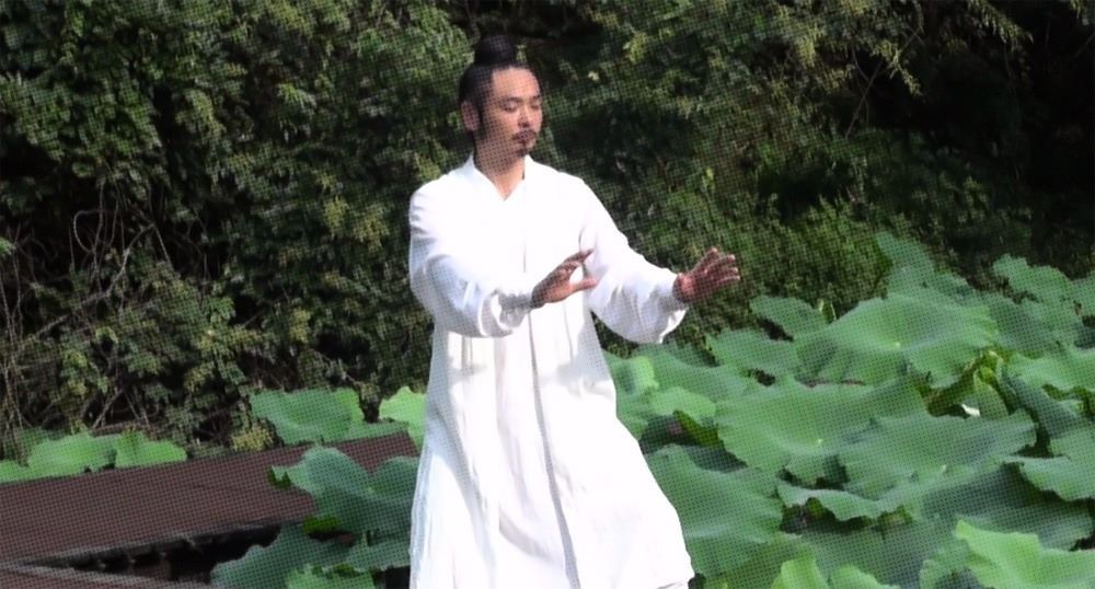 武當密傳五形功