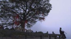 CCTV《問道武當》紀錄片全集高清