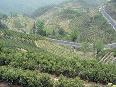 八仙觀:八仙住處-金頂景區